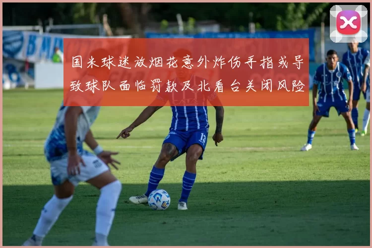 国米球迷放烟花意外炸伤手指或导致球队面临罚款及北看台关闭风险