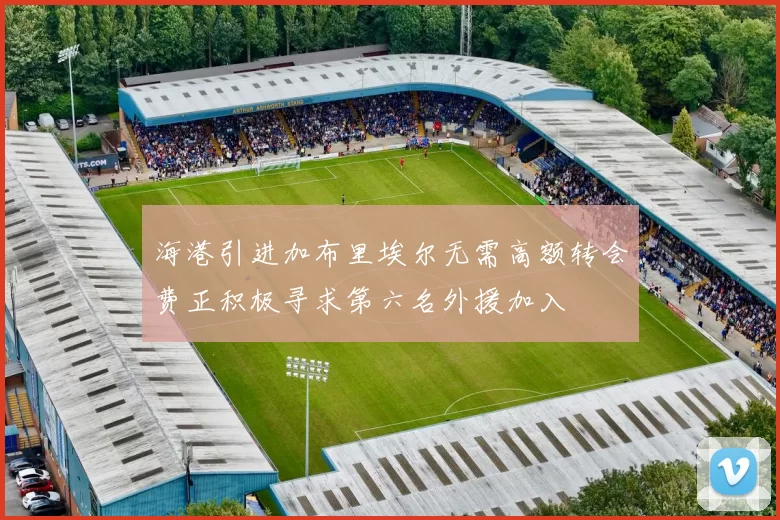 海港引进加布里埃尔无需高额转会费正积极寻求第六名外援加入